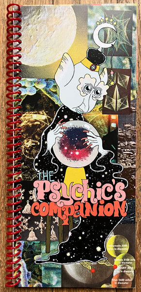 THE PSYCHICS COMPANION