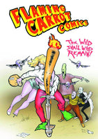 FLAMING CARROT COMICS COLL LTD S/N HC VOL 02